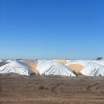 Volvió el vandalismo rural: en Bahía Blanca rompieron 5 silobolsas con mercadería por $300 millones​