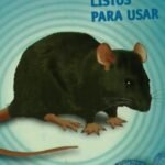 “Hay mucha lauchita en la ciudad”: alertan por mayor presencia de roedores en Bahía Blanca​