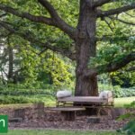 11 ideas simples para crear rincones de descanso bajo un árbol