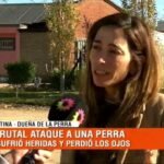 “La dejaron sufrir”: denuncian que una perra perdió sus dos ojos tras una brutal agresión​