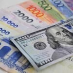 Tasas y tipo de cambio: el combo que hizo que las inversiones en pesos rindieran hasta 20% en dólares en la primera mitad del año