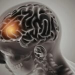 ¿Se pueden recuperar los recuerdos de una persona muerta? La ciencia explora una posibilidad que parecía imposible