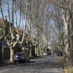 Alquileres en zona Norte: por qué los precios “bajaron” un 7,2% en el último año pese a que los inquilinos pagan más